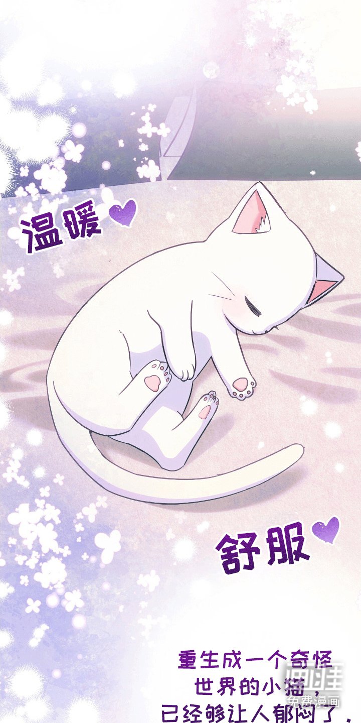 第19章：可不要后悔