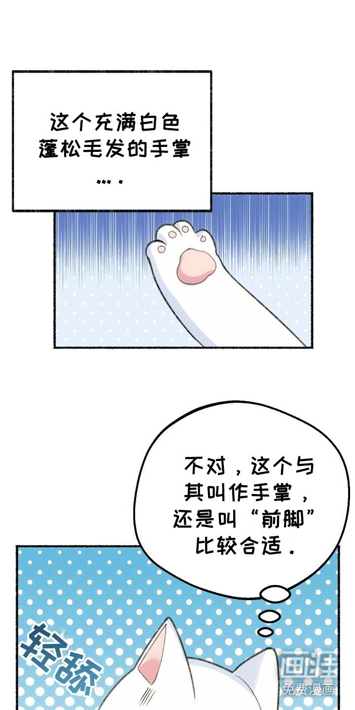 第2章：穿进书里