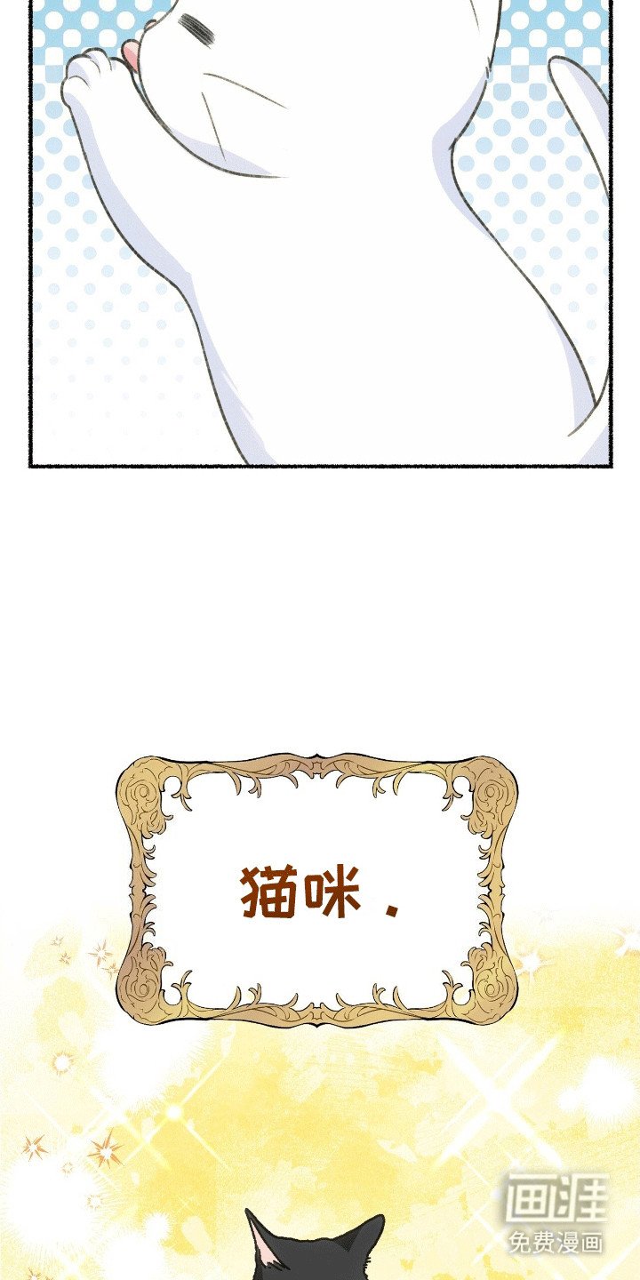 第2章：穿进书里