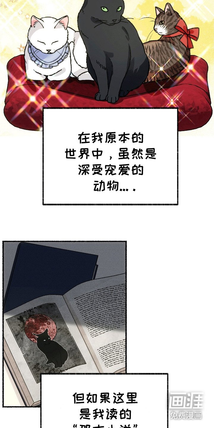 第2章：穿进书里