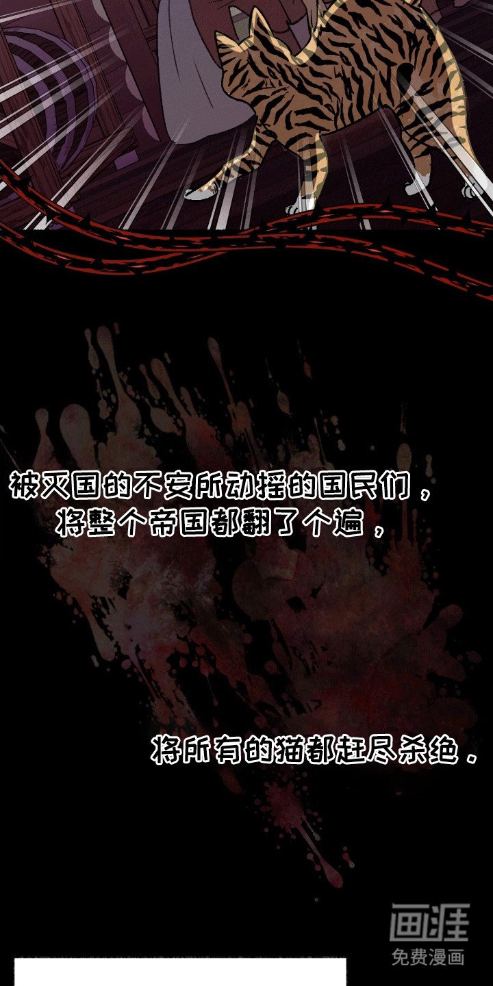 第2章：穿进书里