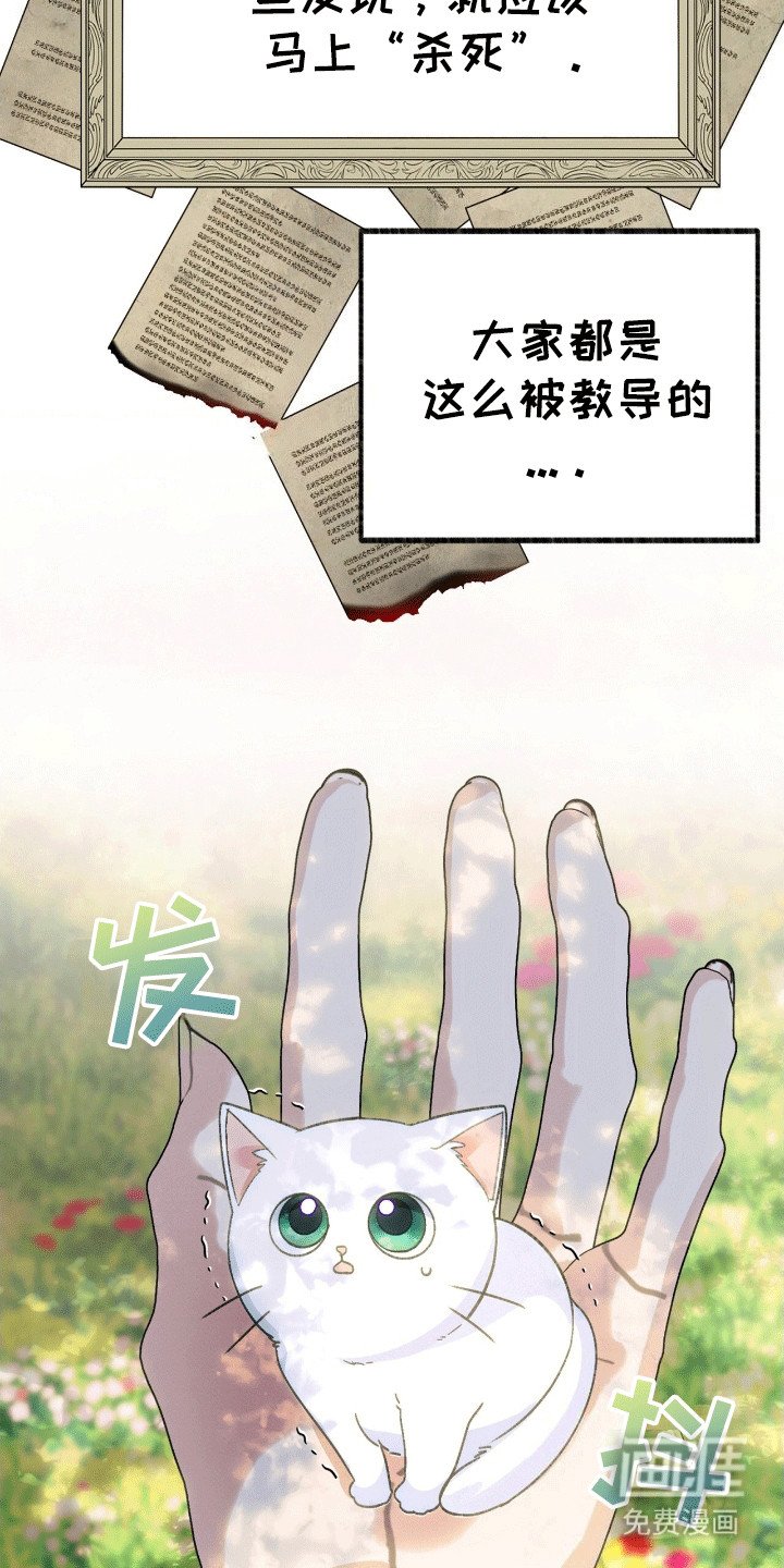 第2章：穿进书里