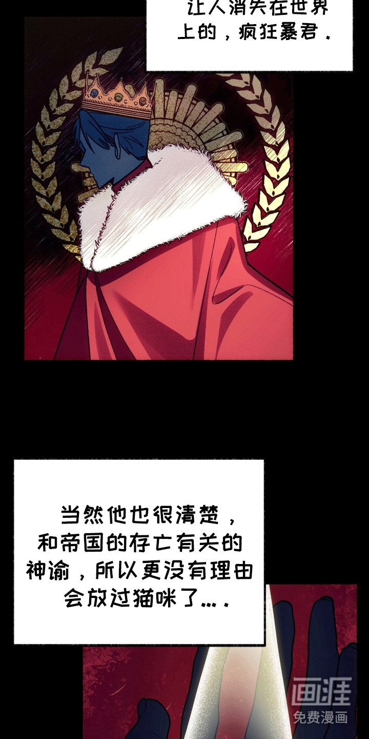 第2章：穿进书里