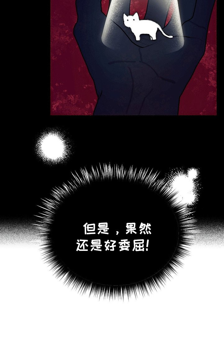 第2章：穿进书里