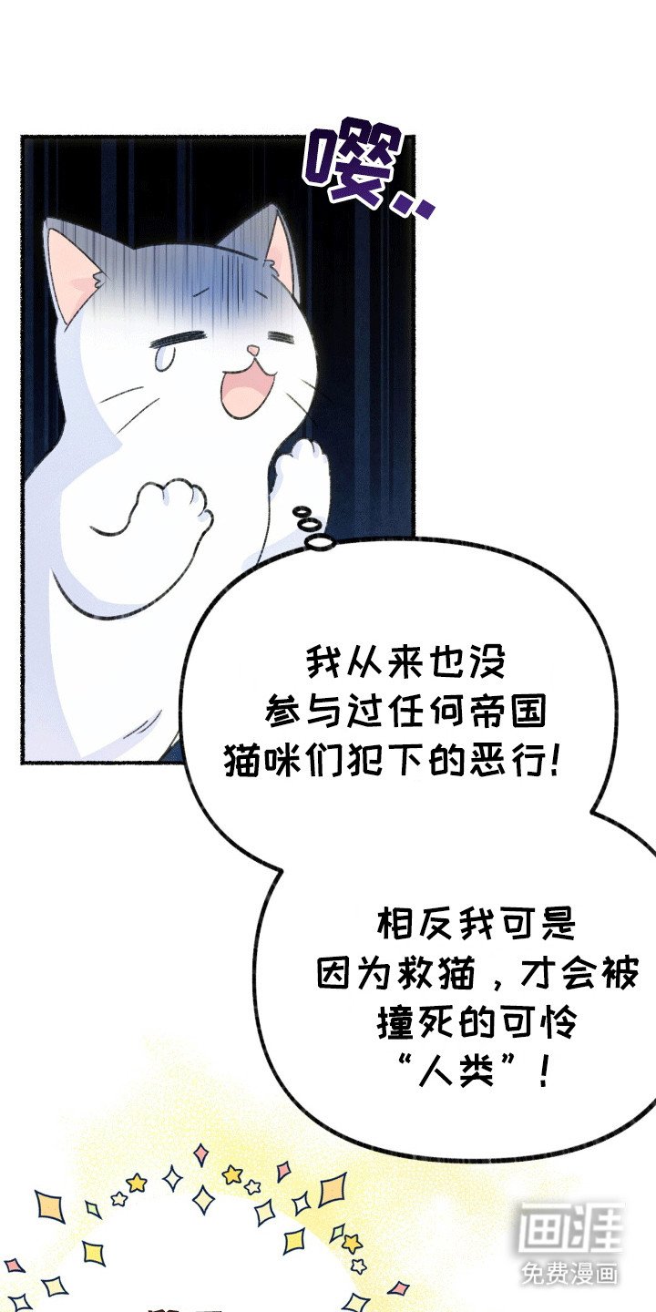 第3章：揣兜带回家