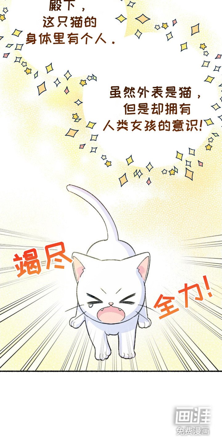 第3章：揣兜带回家
