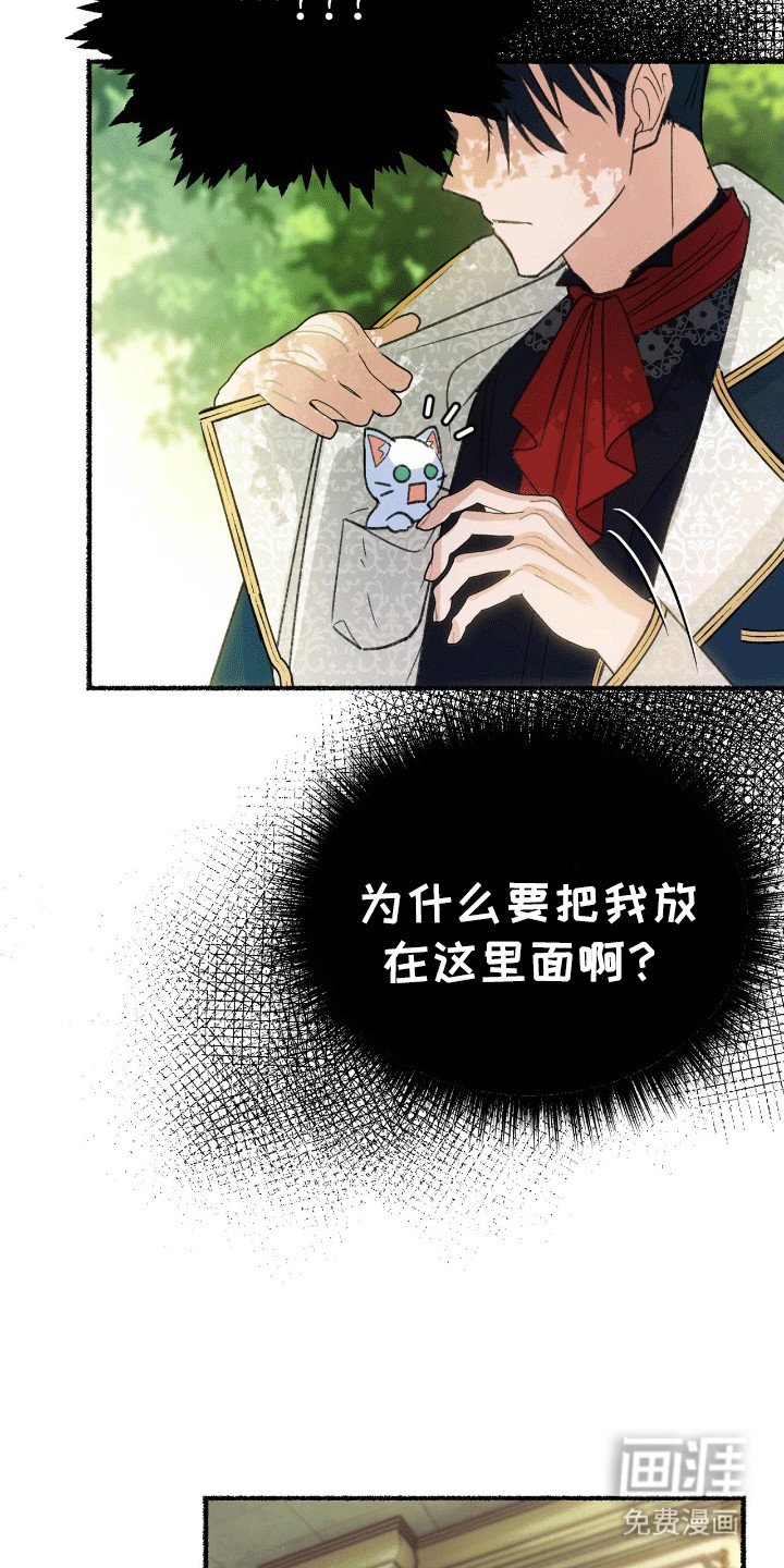第3章：揣兜带回家