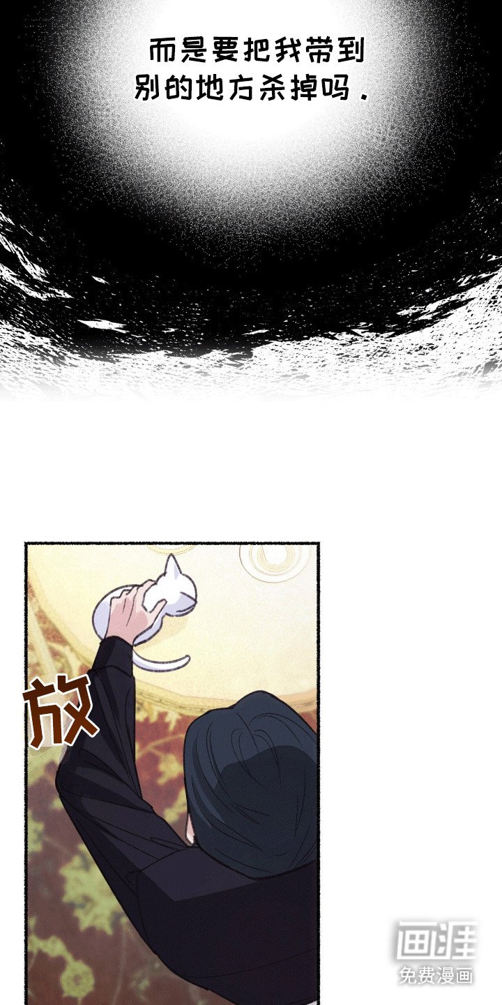 第3章：揣兜带回家