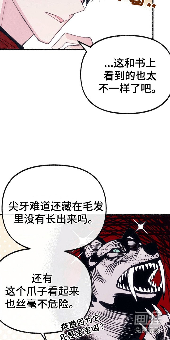 第3章：揣兜带回家