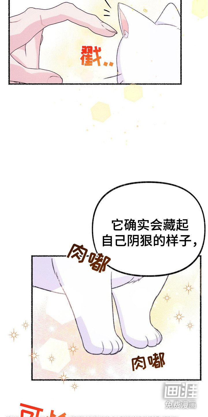第3章：揣兜带回家