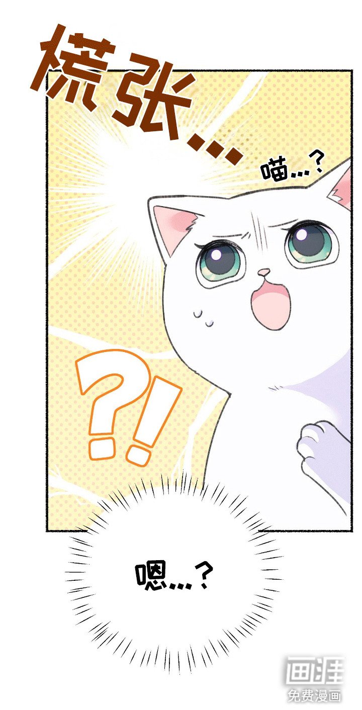 第3章：揣兜带回家