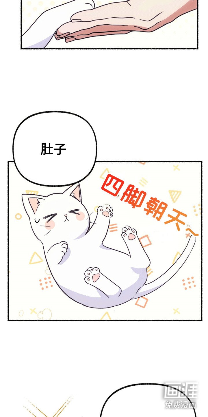 第4章：撒娇卖萌