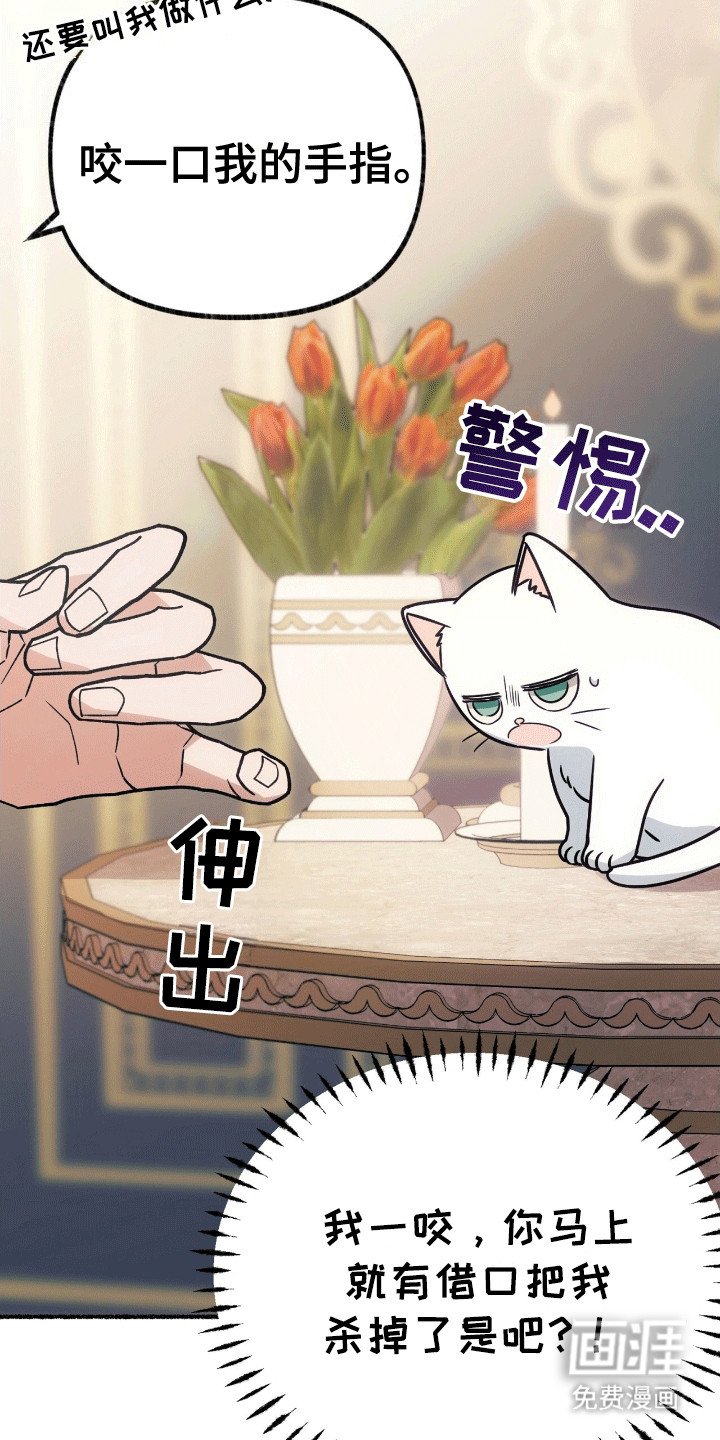 第4章：撒娇卖萌