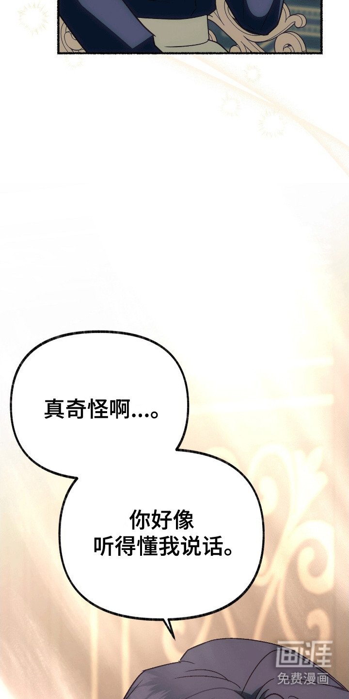 第4章：撒娇卖萌