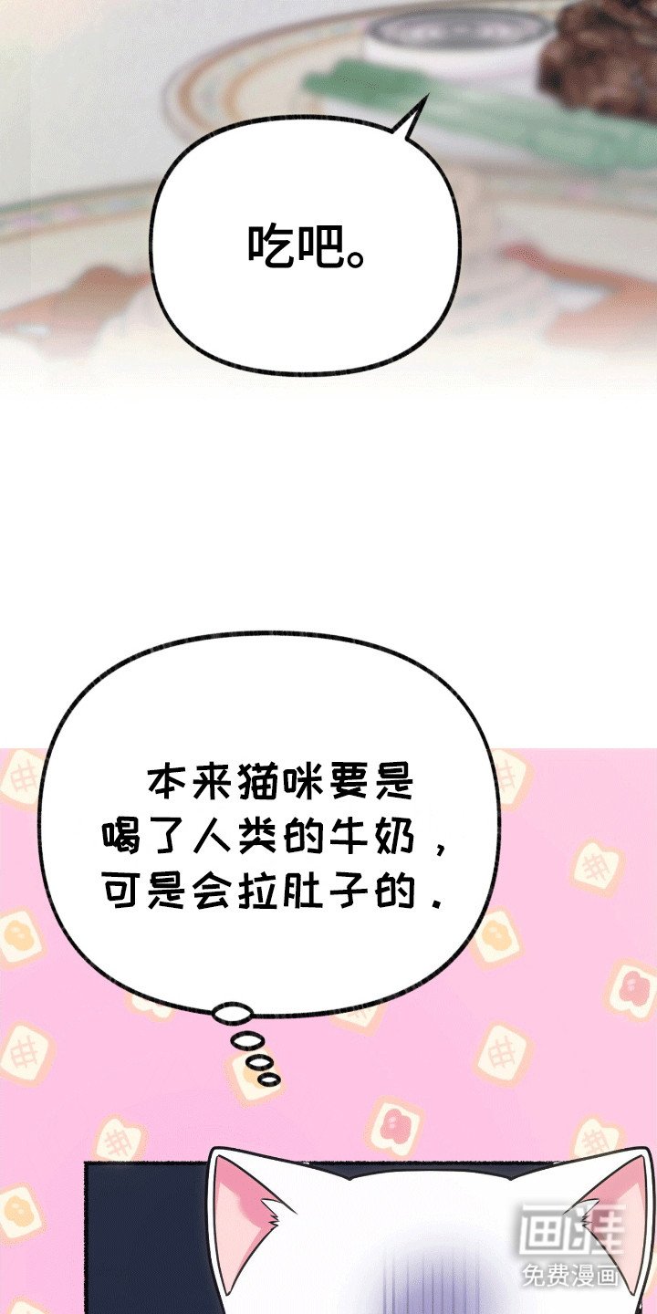 第4章：撒娇卖萌