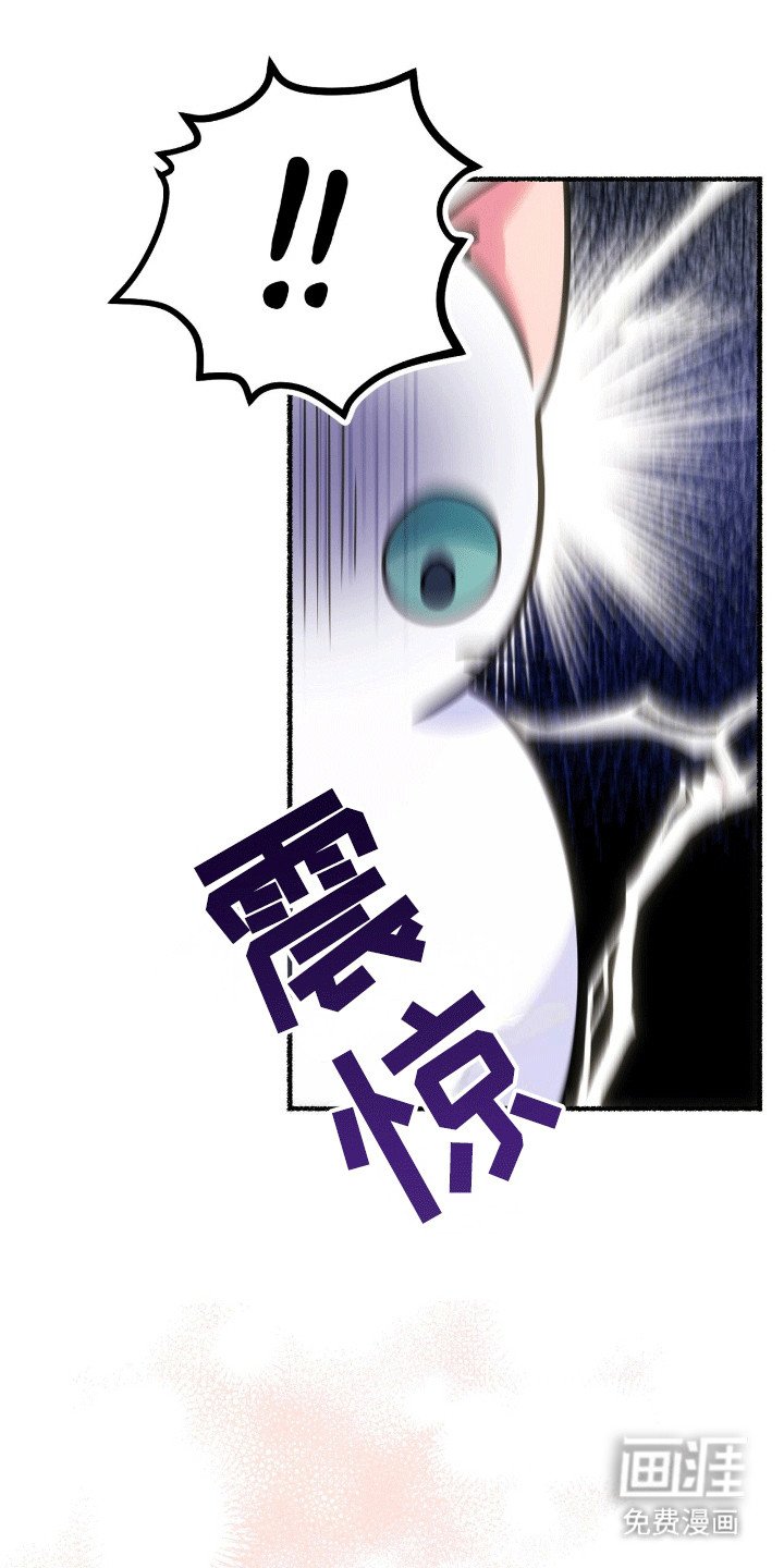 第4章：撒娇卖萌