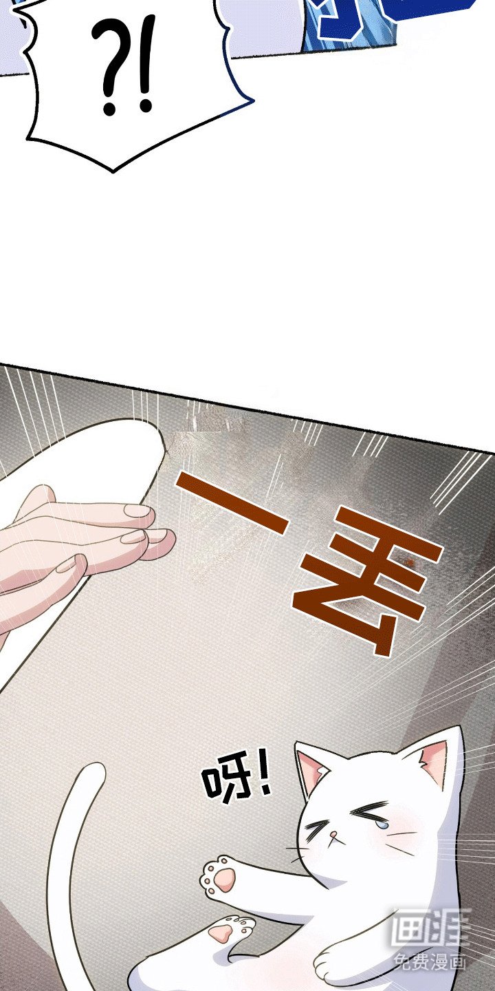 第5章：亮爪子