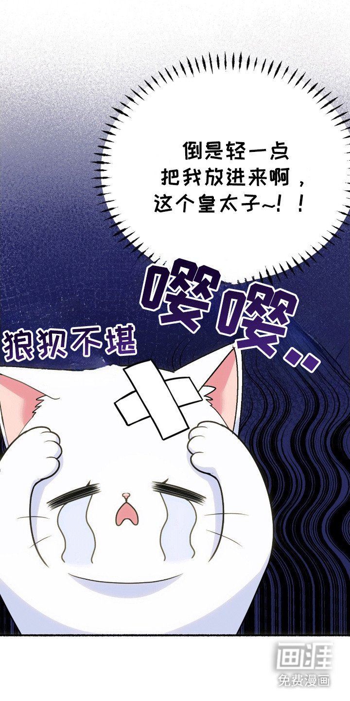 第5章：亮爪子
