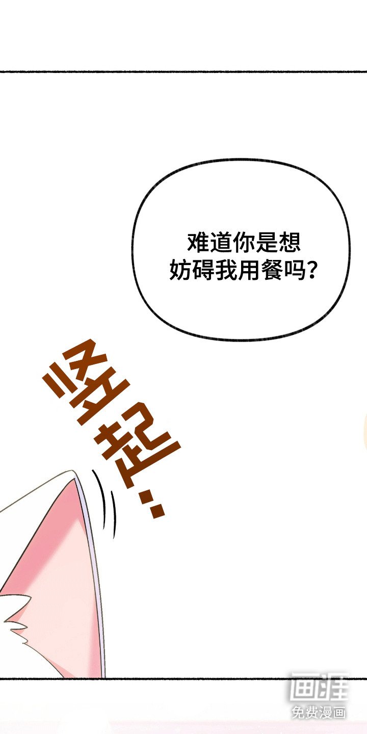 第5章：亮爪子