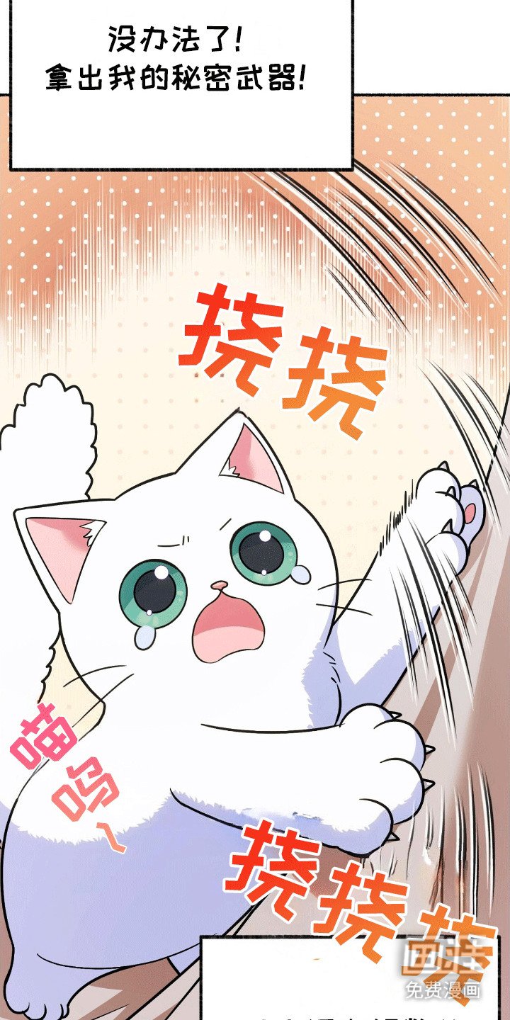 第5章：亮爪子