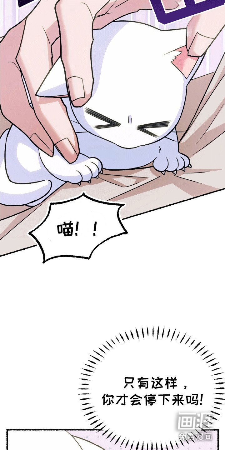 第5章：亮爪子