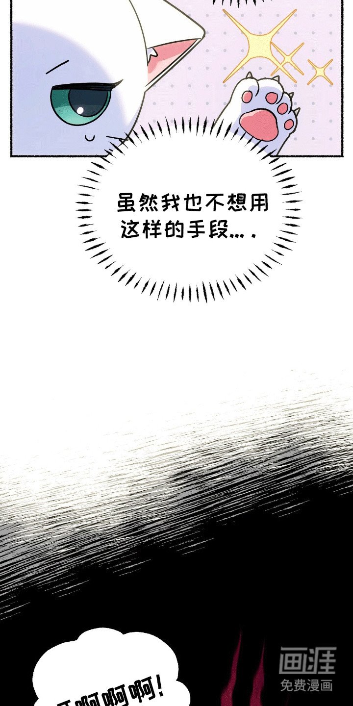 第5章：亮爪子