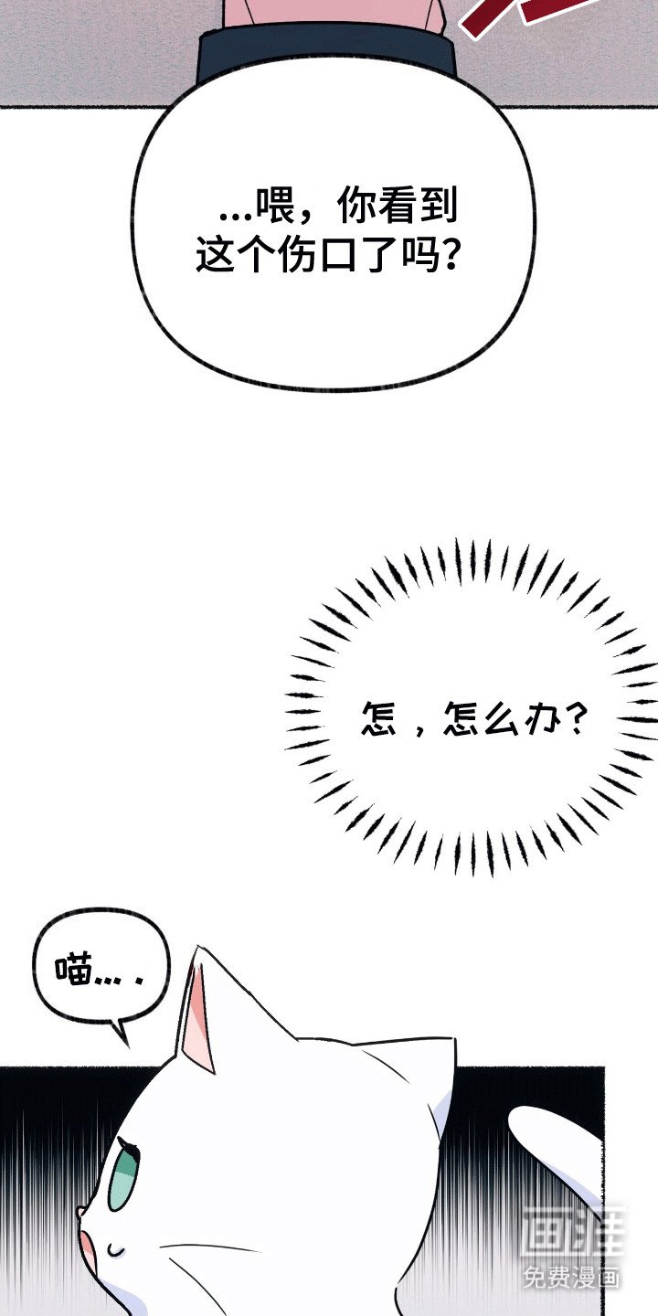 第6章：阴谋败露