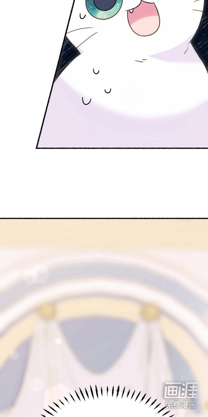第6章：阴谋败露