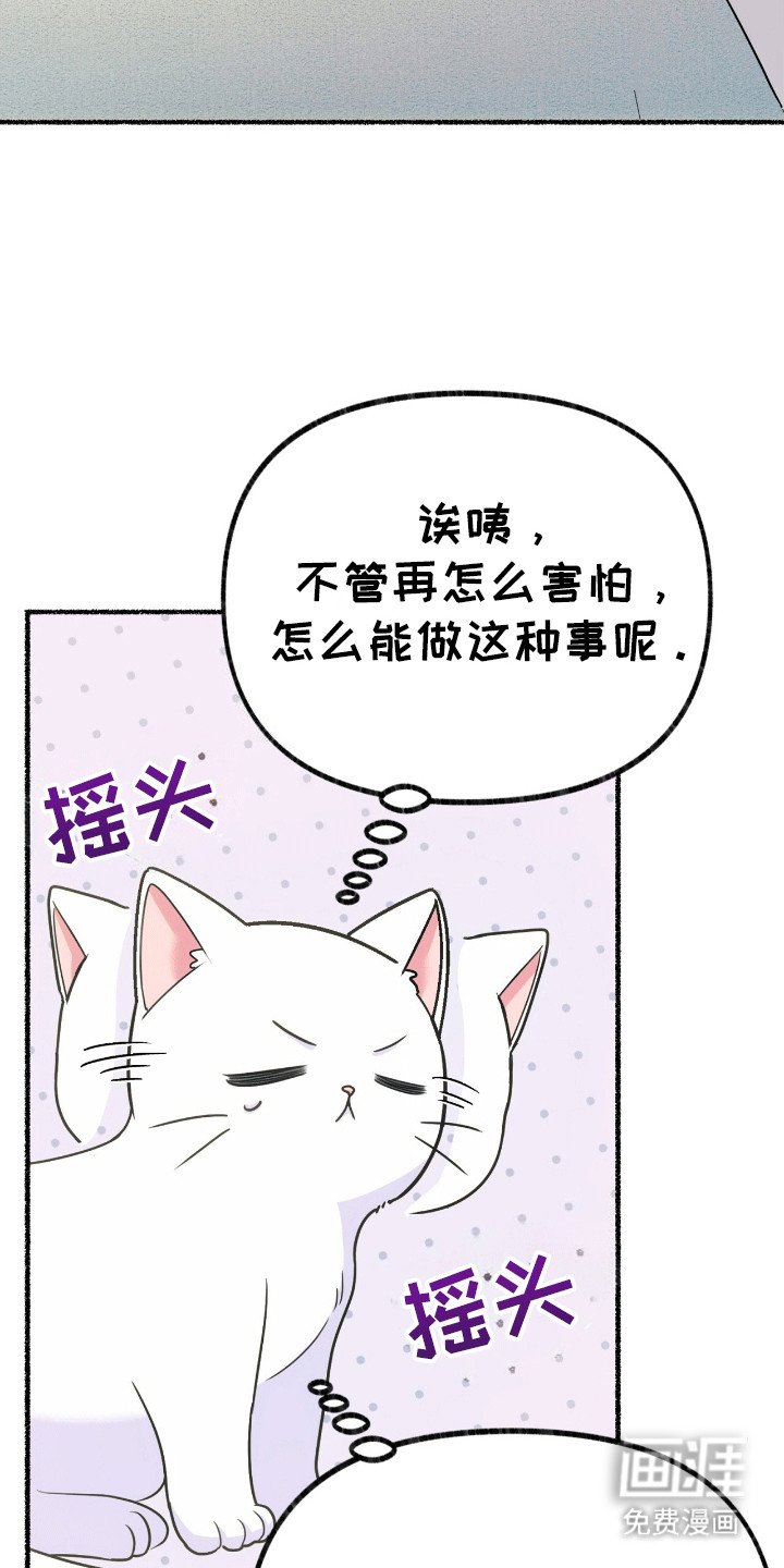 第6章：阴谋败露