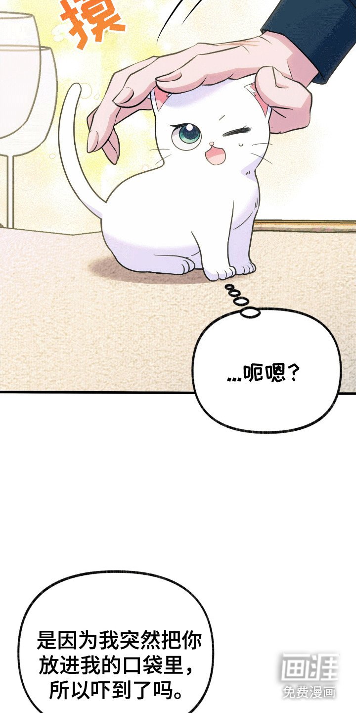 第6章：阴谋败露