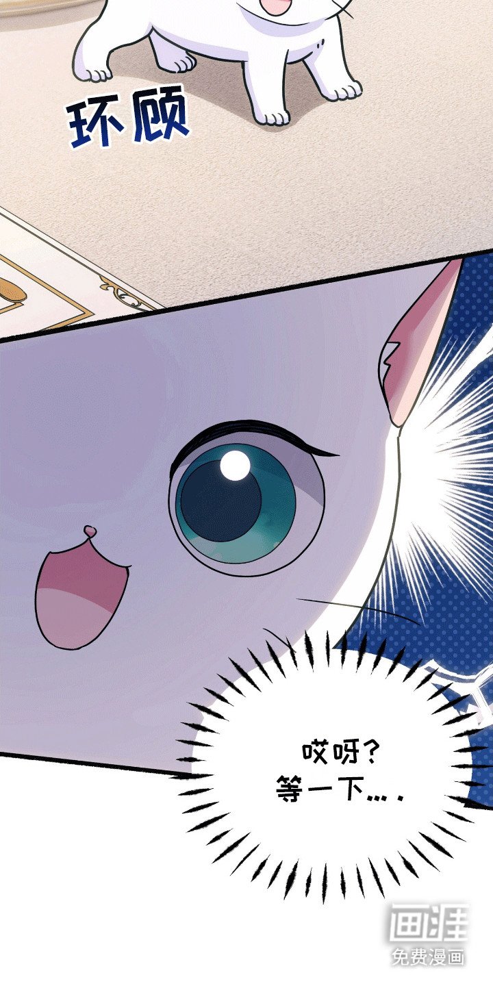 第6章：阴谋败露