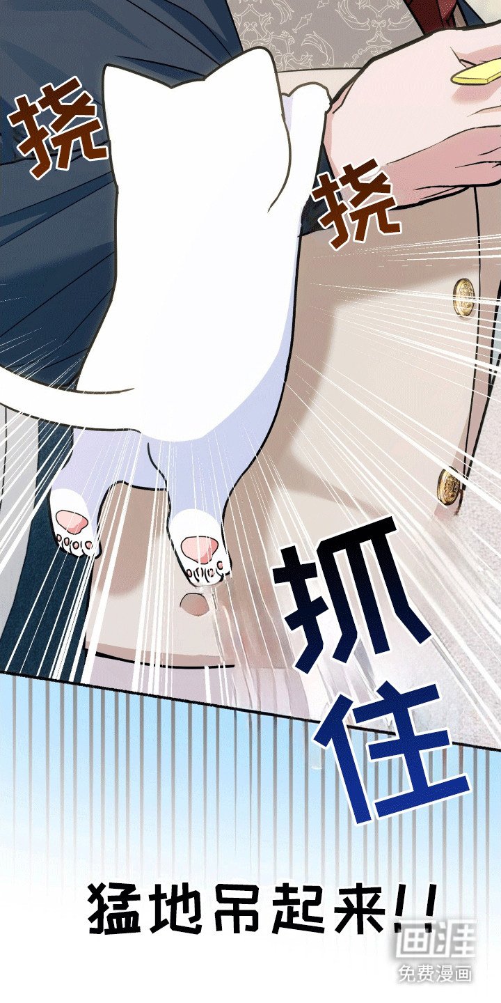 第6章：阴谋败露
