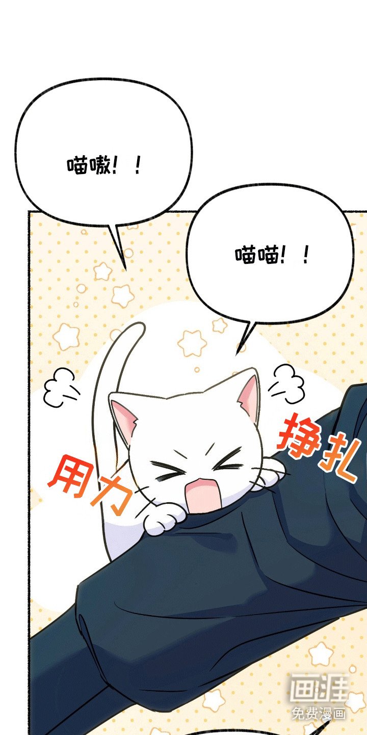 第6章：阴谋败露