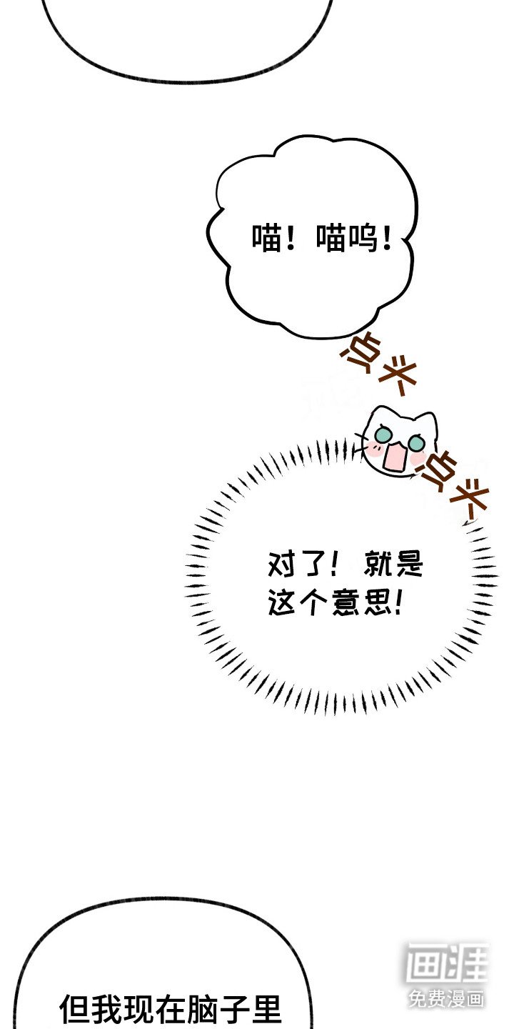 第7章：皇帝的命令