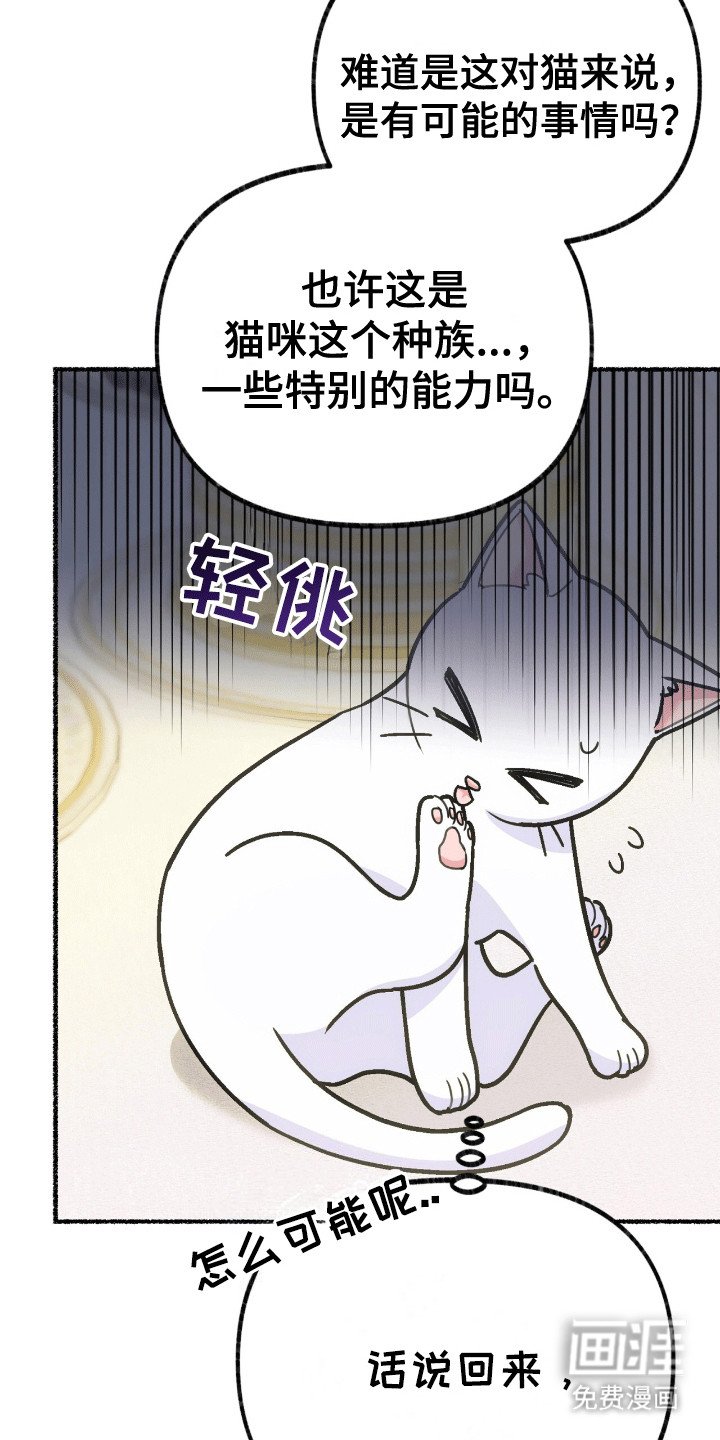 第7章：皇帝的命令