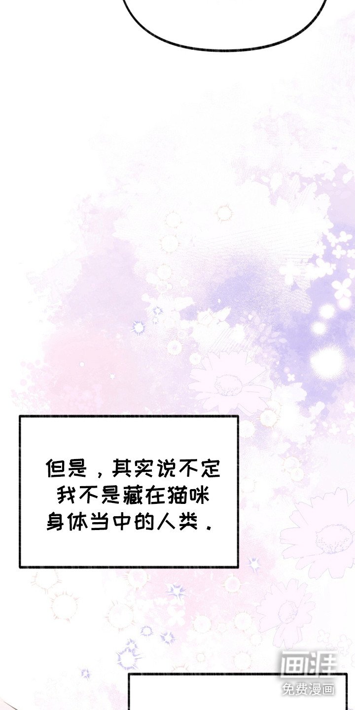 第7章：皇帝的命令