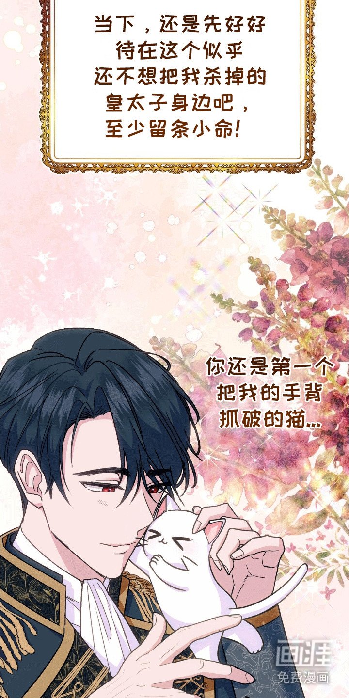 第7章：皇帝的命令