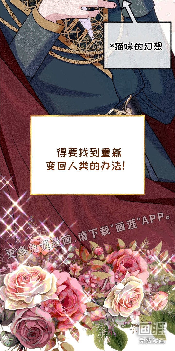 第7章：皇帝的命令