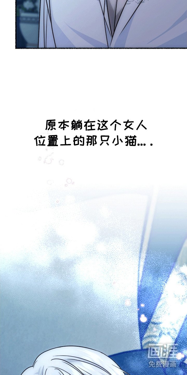 第9章：变回小猫
