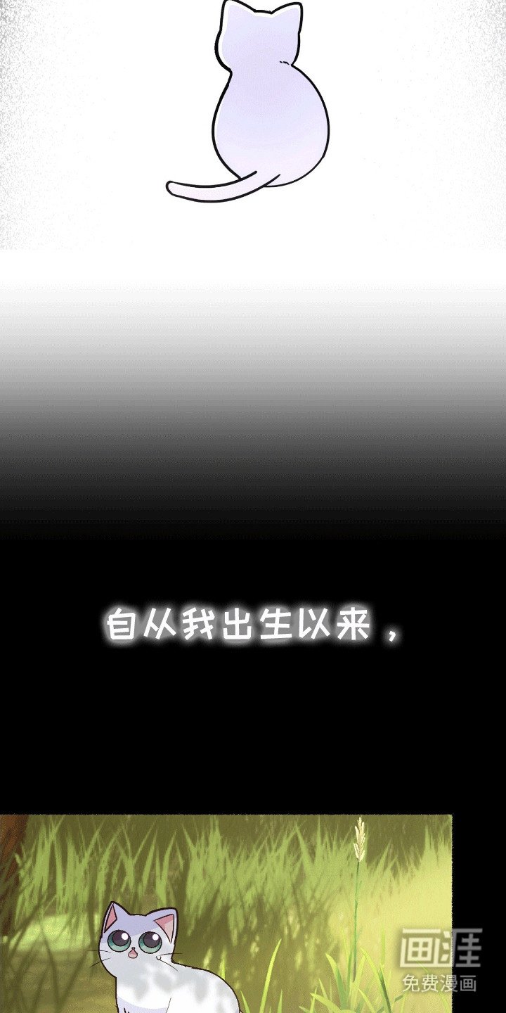 第9章：变回小猫