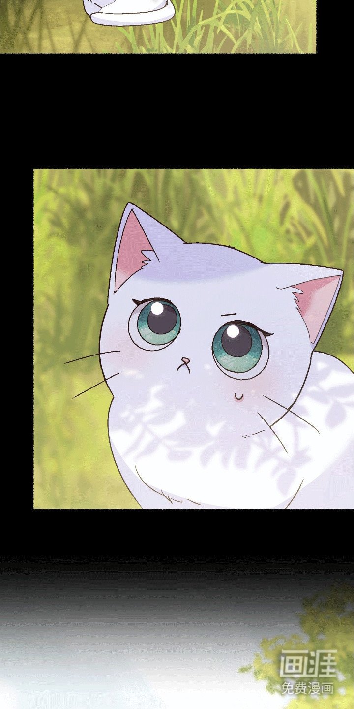 第9章：变回小猫