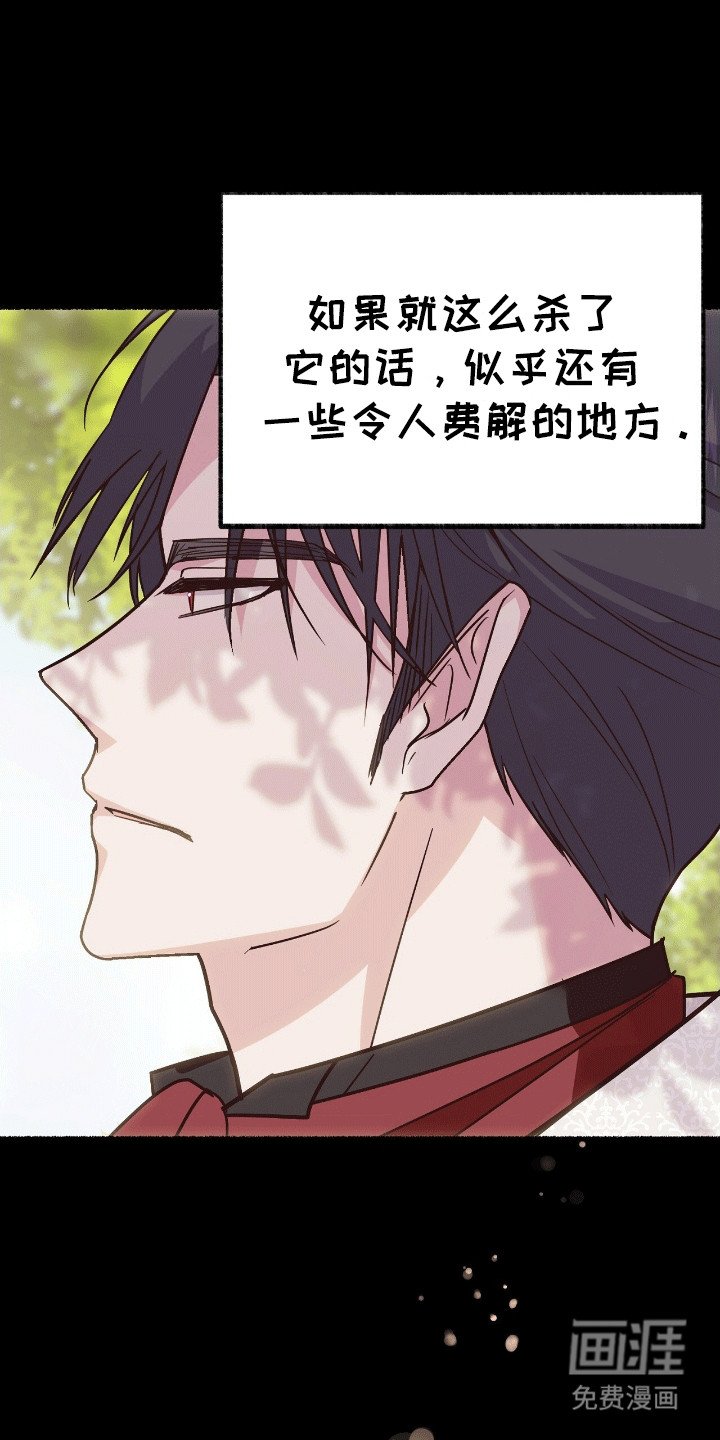 第9章：变回小猫