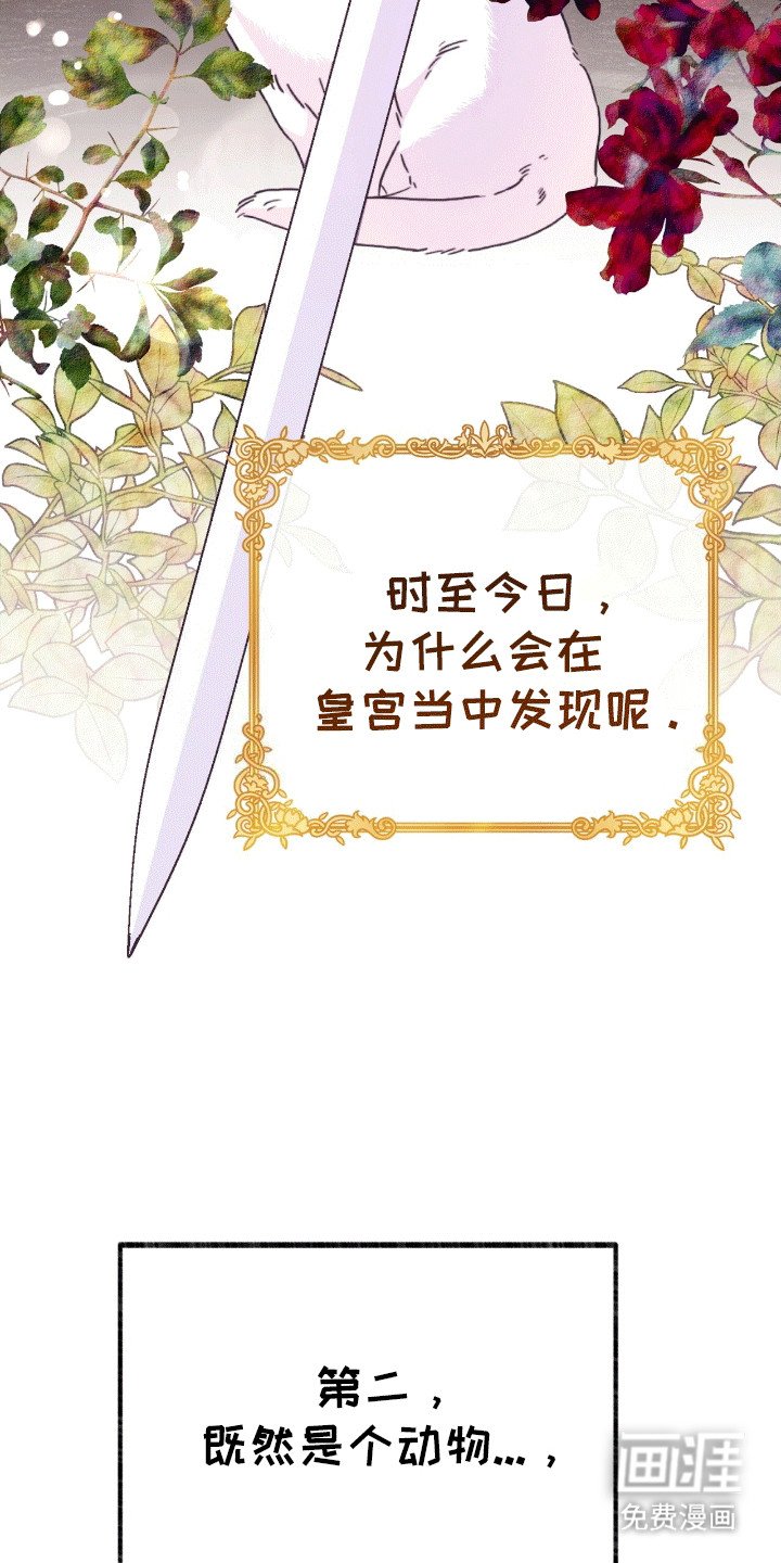 第9章：变回小猫