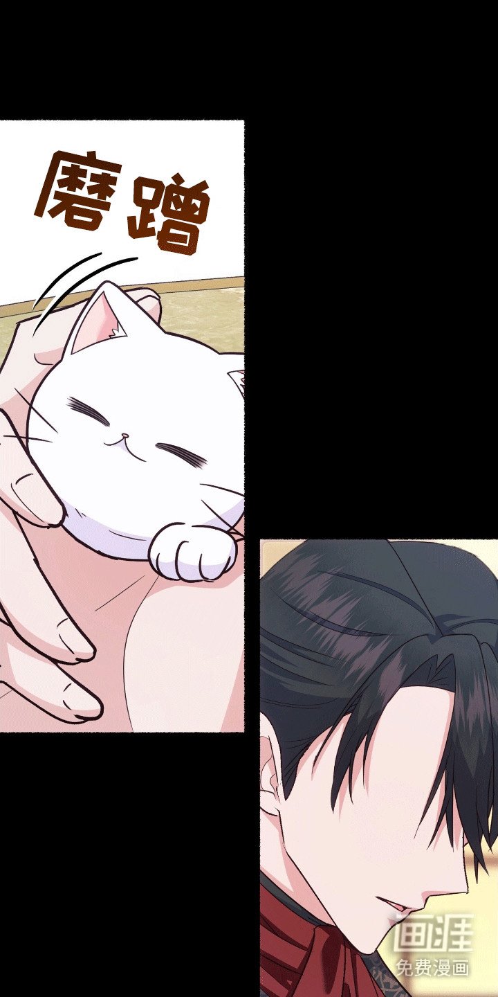 第9章：变回小猫