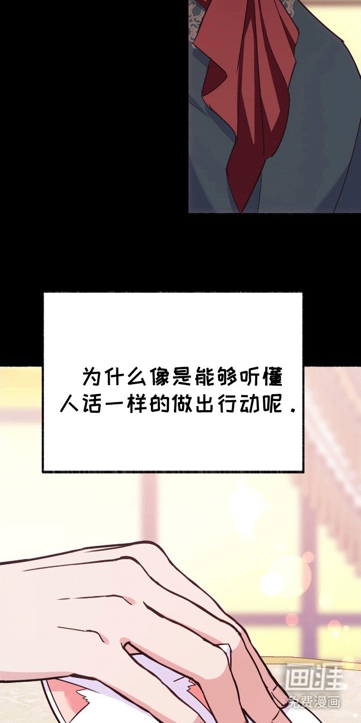 第9章：变回小猫