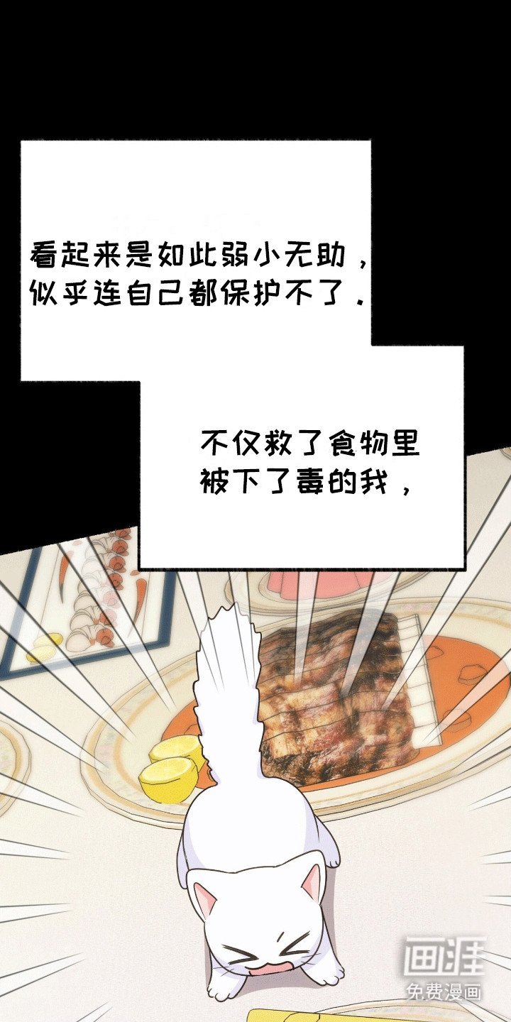第9章：变回小猫