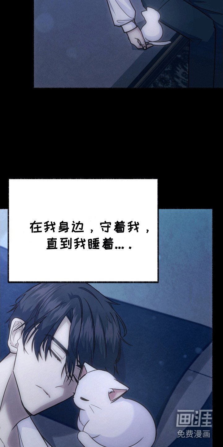 第9章：变回小猫