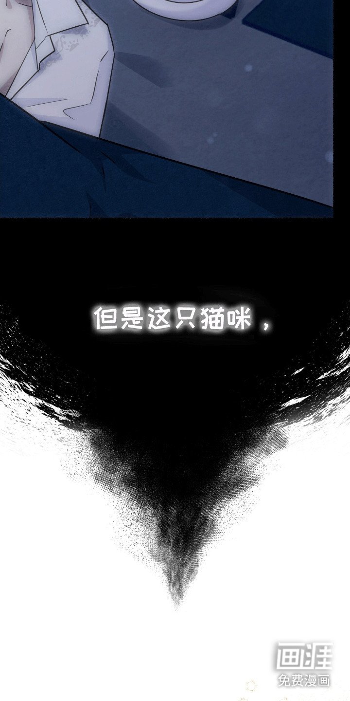 第9章：变回小猫