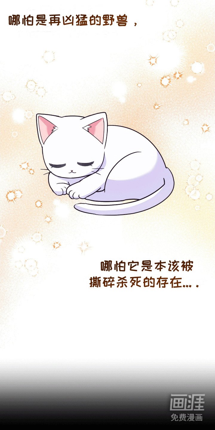 第9章：变回小猫