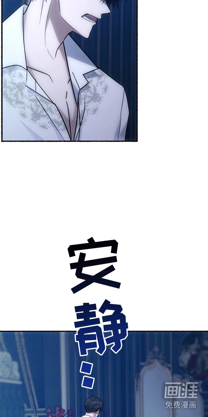 第9章：变回小猫
